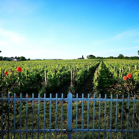 La Maison Des Vignes Emilion Saint-Emilion