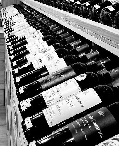 Appartement La Maison Des Vignes Emilion