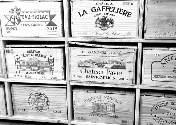 La Maison Des Vignes Emilion Appartement