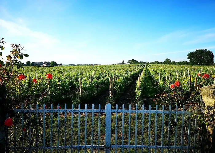 La Maison Des Vignes Emilion Saint-Émilion