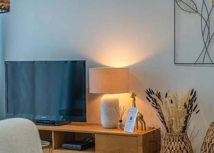 La Maison Des Vignes Emilion Appartement